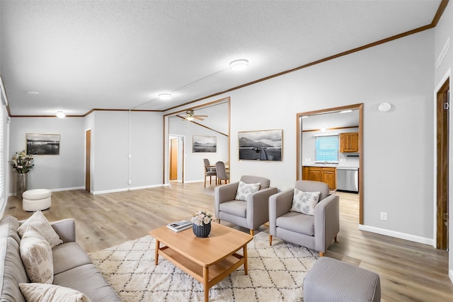 living room featuring sink, light wood-type flooring, a textured ceiling, and ornamental molding