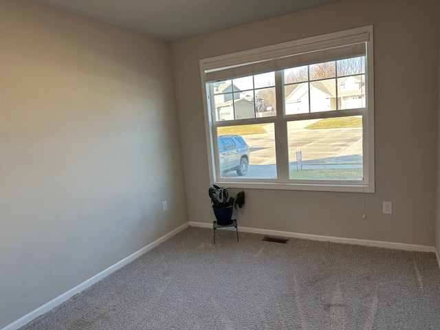 spare room featuring carpet floors and plenty of natural light