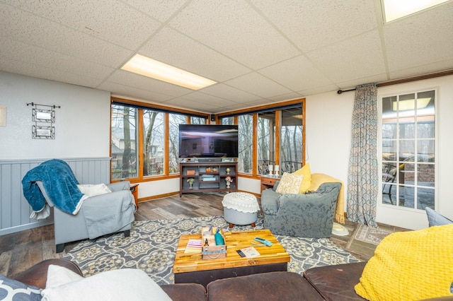 living room with a drop ceiling, plenty of natural light, and wood-type flooring