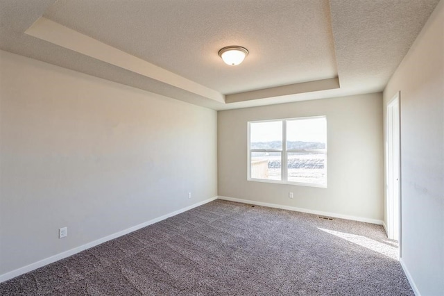 spare room with a raised ceiling, a textured ceiling, and carpet