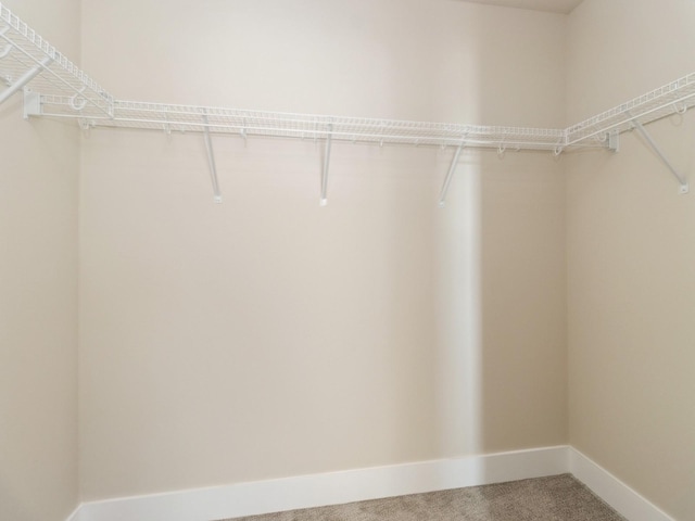 201 S Valley View Dr, Norwalk, IA 50211 - spacious closet featuring carpet floors