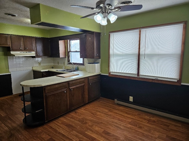 kitchen with sink, dark brown cabinetry, dark hardwood / wood-style floors, and decorative backsplash