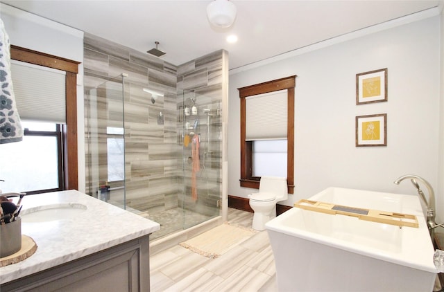 bathroom with a shower stall, vanity, and toilet