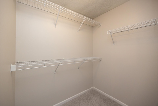 walk in closet with carpet