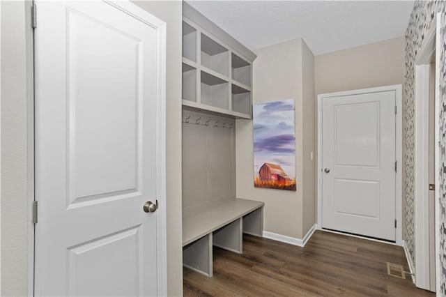 mudroom with dark hardwood / wood-style flooring