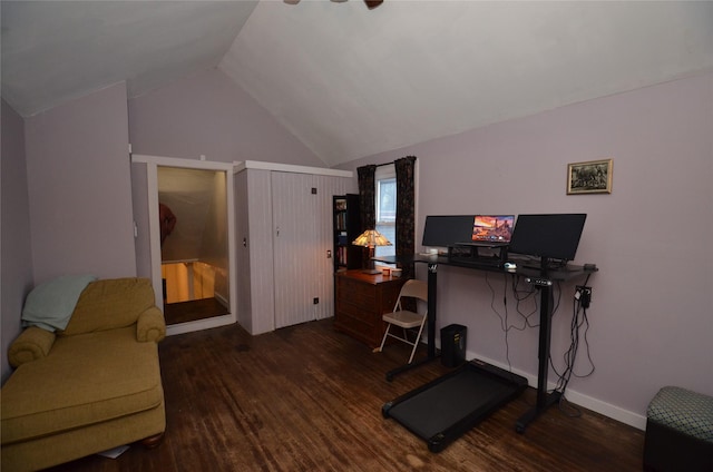 interior space with vaulted ceiling and dark wood-type flooring