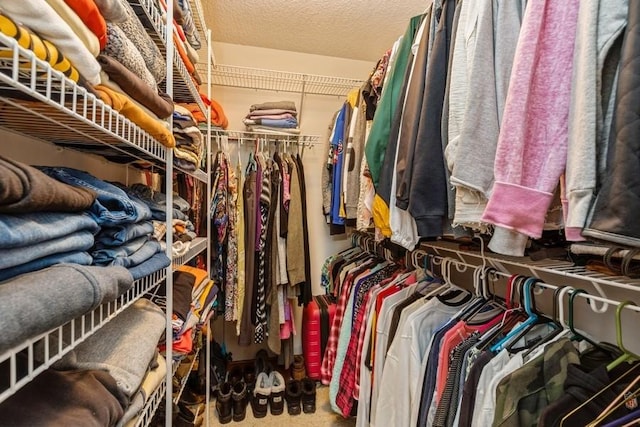 walk in closet with carpet