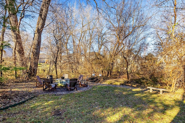 view of yard featuring a fire pit