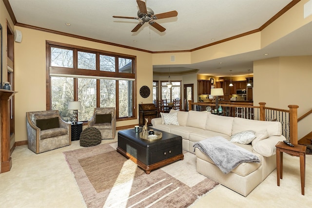 carpeted living room with ceiling fan with notable chandelier and ornamental molding