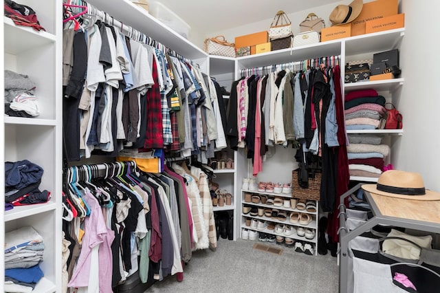 spacious closet with carpet