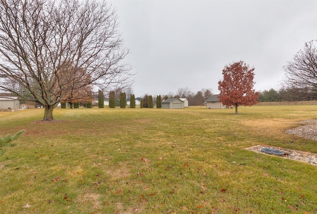 view of yard featuring a shed