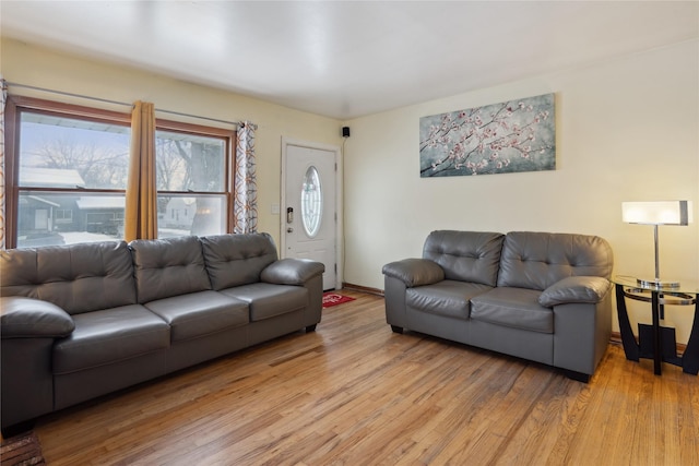 living room featuring light hardwood / wood-style floors