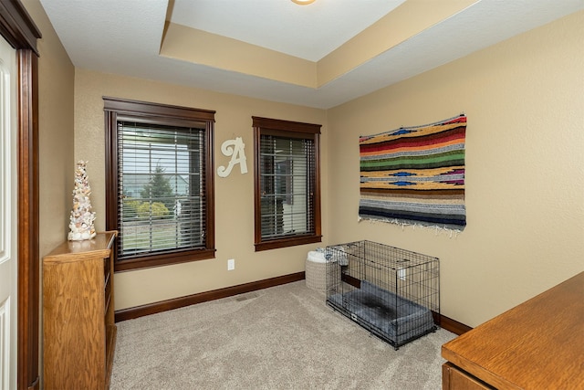 interior space with a raised ceiling and light colored carpet