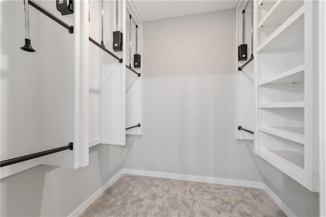 walk in closet with carpet floors