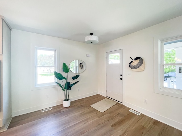 entrance foyer with plenty of natural light and hardwood / wood-style flooring