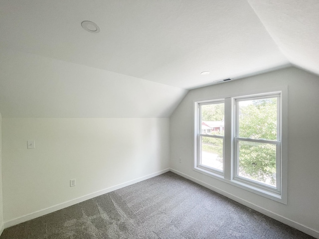 additional living space featuring carpet floors and lofted ceiling