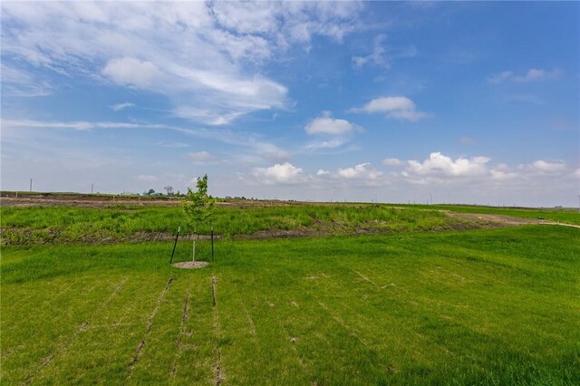 view of yard with a rural view