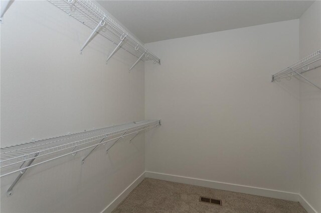 spacious closet featuring carpet floors