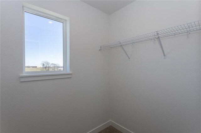 walk in closet featuring carpet flooring