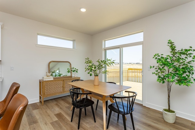 985 11th St, Waukee, IA 50263 - dining room with light wood-style floors, baseboards, and a healthy amount of sunlight