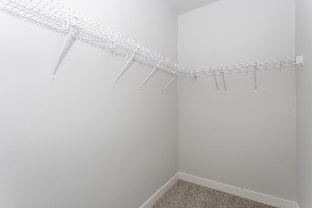 1060 Gray Ave, Waukee, IA 50263 - walk in closet featuring light colored carpet