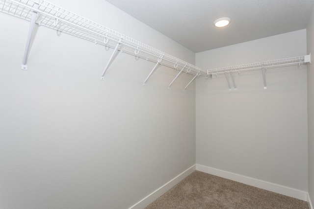 spacious closet with light colored carpet