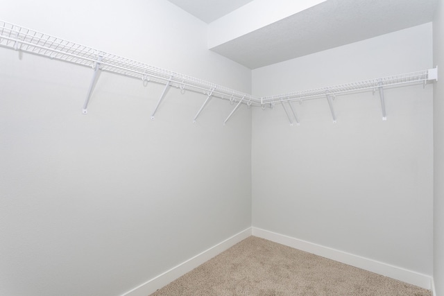 spacious closet with light colored carpet