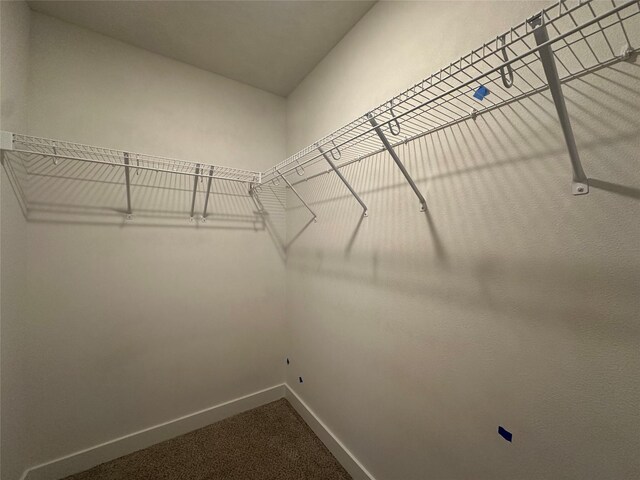 spacious closet featuring carpet floors