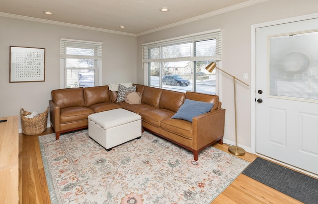 living room with crown molding and hardwood / wood-style floors