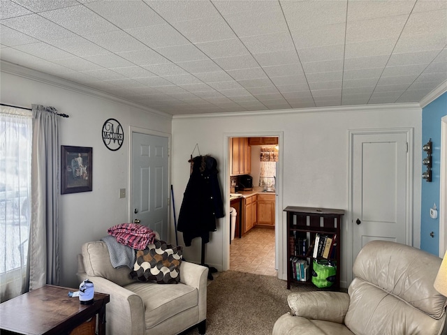 living room with light colored carpet and crown molding