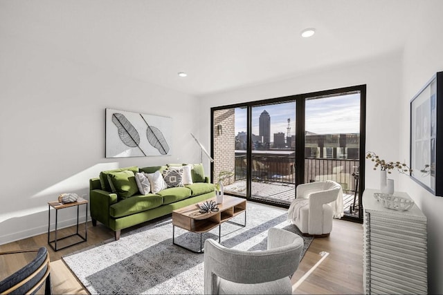 living room featuring hardwood / wood-style floors