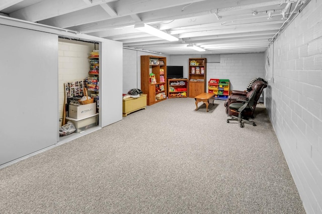 basement featuring carpet