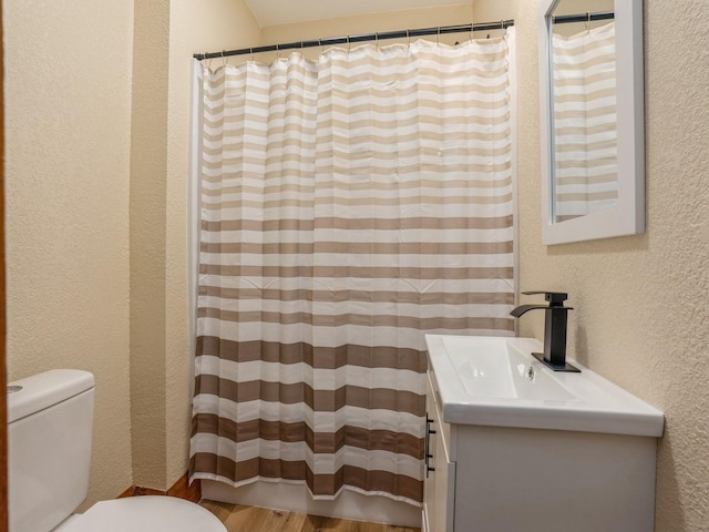 bathroom featuring hardwood / wood-style floors, vanity, and toilet