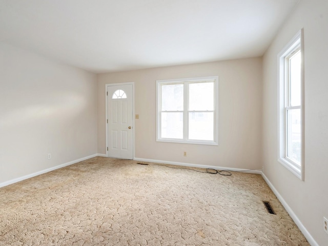 foyer with carpet flooring and a wealth of natural light