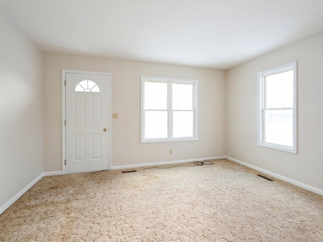 entryway with a wealth of natural light and carpet floors