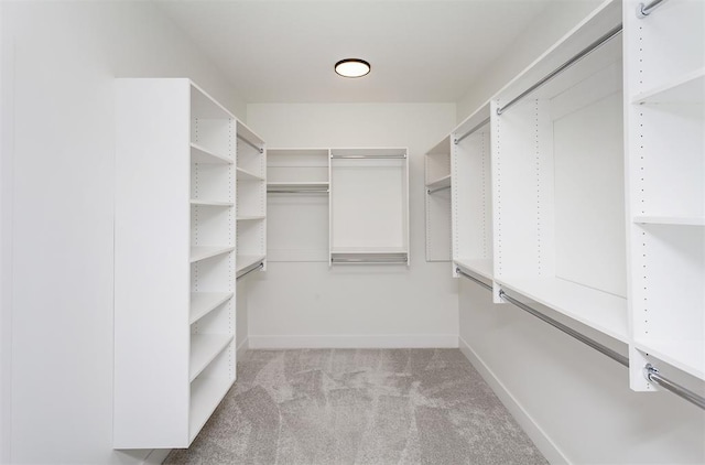 spacious closet with light colored carpet