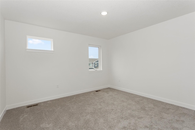 253 NW Waverly Dr, Waukee, IA 50263 - photo 26