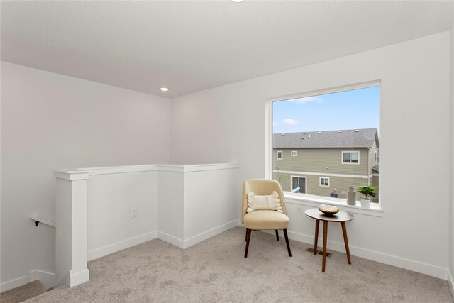 243 NW Waverly Dr, Waukee, IA 50263 - photo 19