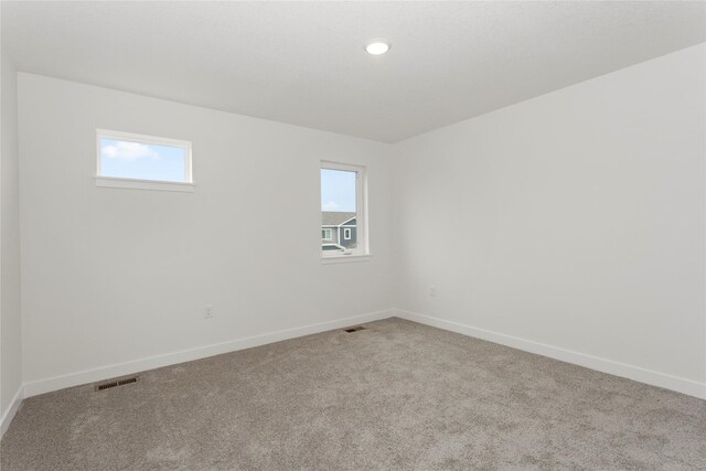 243 NW Waverly Dr, Waukee, IA 50263 - photo 26