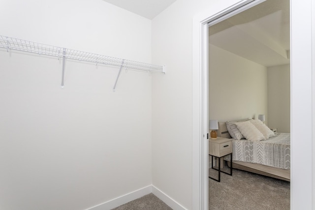 walk in closet featuring carpet