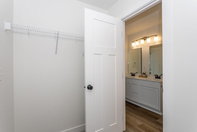 closet featuring sink