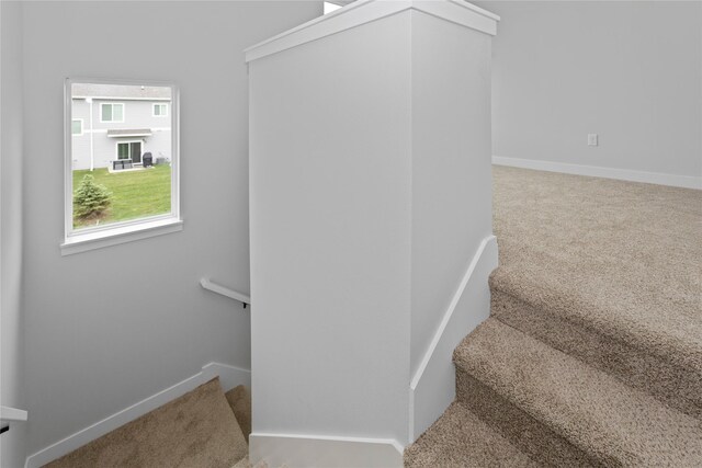 234 NW Waverly Dr, Waukee, IA 50263 - stairs featuring carpet flooring and baseboards