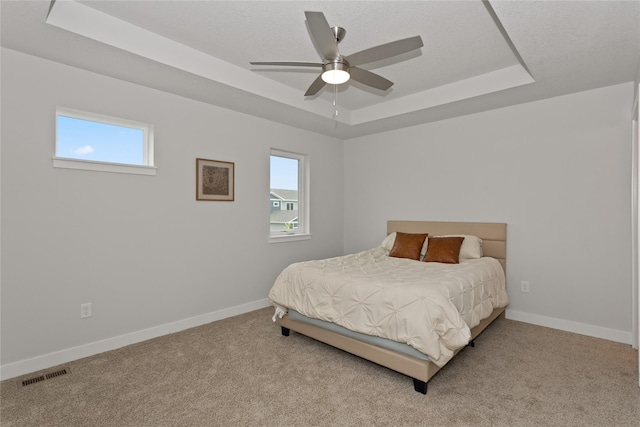 230 NW Waverly Dr, Waukee, IA 50263 - carpeted bedroom featuring a tray ceiling, multiple windows, and baseboards