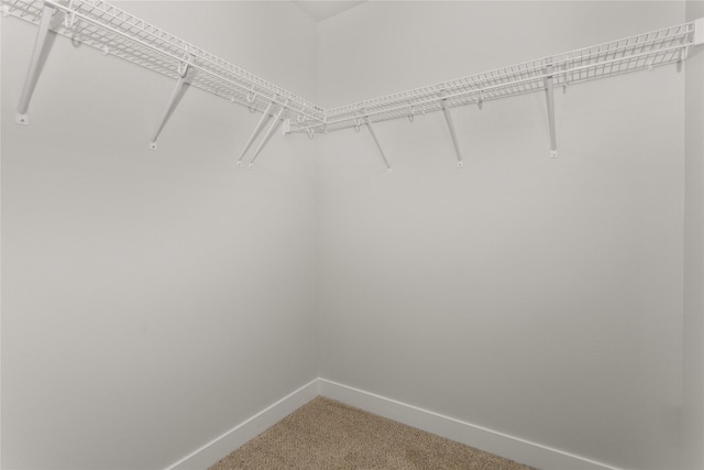 230 NW Waverly Dr, Waukee, IA 50263 - spacious closet featuring light colored carpet