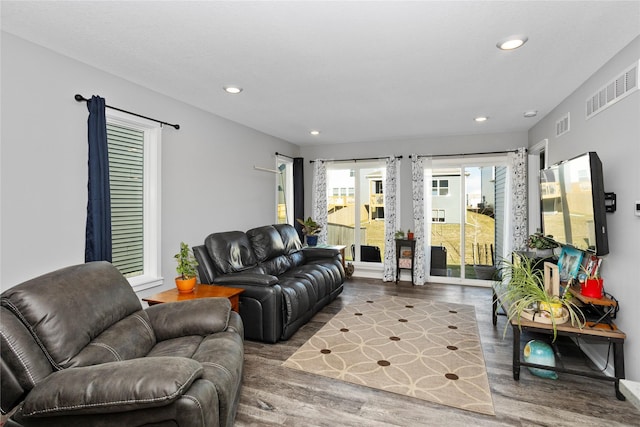 living room with wood-type flooring