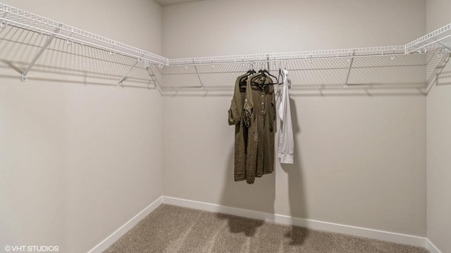 spacious closet featuring carpet flooring