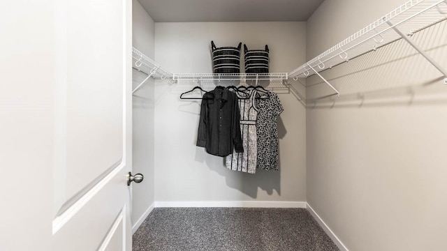 walk in closet with carpet