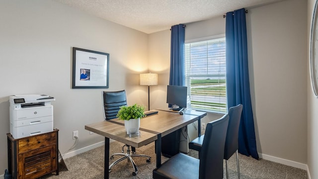 carpeted office space featuring a healthy amount of sunlight, a textured ceiling, and baseboards