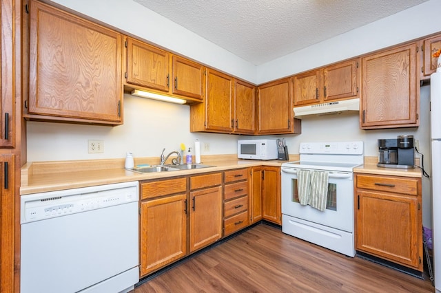 kitchen with a sink, under cabinet range hood, light countertops, white appliances, and dark wood-style flooring