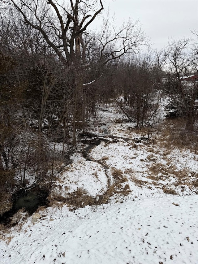 view of snowy landscape